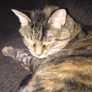 Meet your Posher, Leah